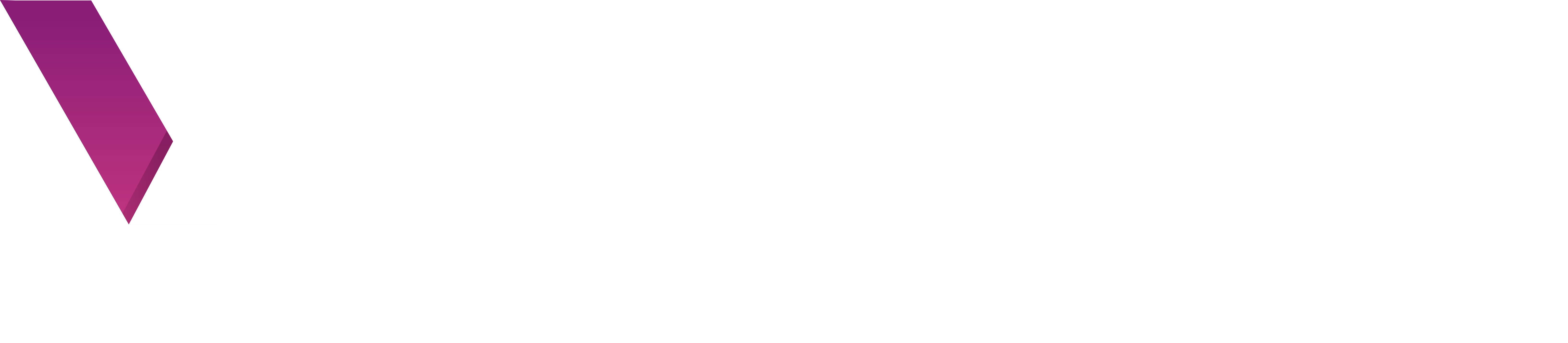 VIKING%20LOGO%20WIT
